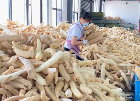 Kabak Lifli Sabun Üretimi